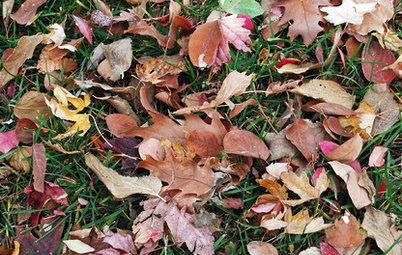 5 Ways to Put Autumn Leaves to Work in Your Garden