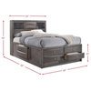 Picket House Madison Queen Storage Bed in Gray