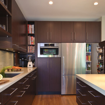 Arlington, Virginia - Contemporary - Kitchen Design