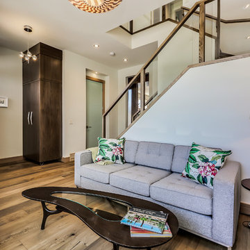 High Performance Healthy Home
