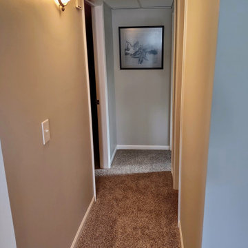 Basement Apartment Painting and Suspended Ceiling Panel Installation Project