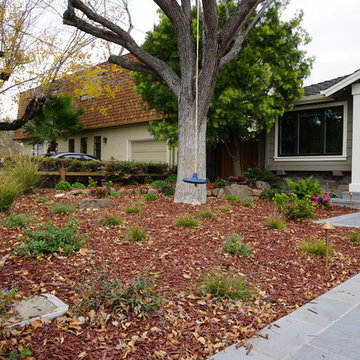 Los Gatos Residence
