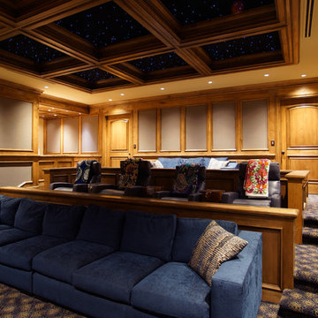 Parker, CO Home Theater