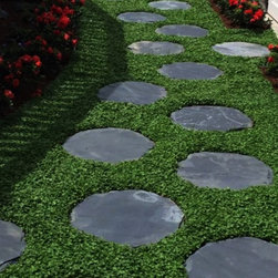 Exotic Grasses - Products