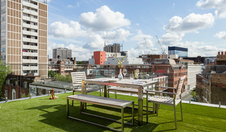 Ask an Expert: Everything You Need to Know About Artificial Grass
