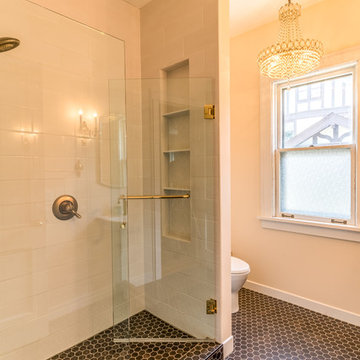 Project 3307-1 St. Paul Summit Ave Whole-House Remodel w/ Custom Mosaic Shower