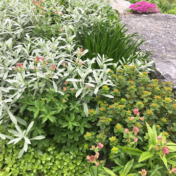Skaneateles, NY