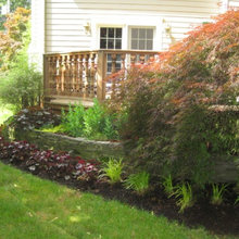 Jordie & Hayley’s Garden Plan