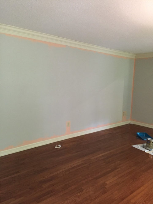 Paint for a dark room