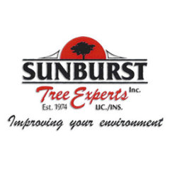 Sunburst Tree Experts