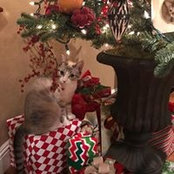 Cathy Reed Richardson's photo