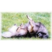 Anne Garnett's photo