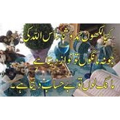 Engr Shahid's photo