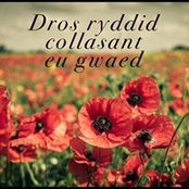 Gwen Jones's photo