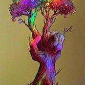 Foto von Kathy Parsley