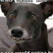 Michael Henning's photo