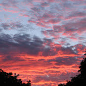 Aviva Attis's photo