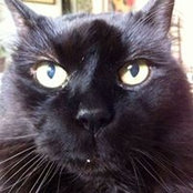 Robert Sexauer's photo