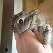 Jen Hart's photo