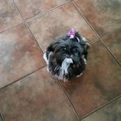 Debra Standiford's photo