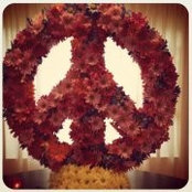 Louis Falzarano's photo