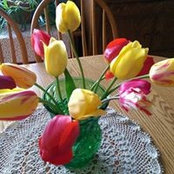Janet Stoll's photo