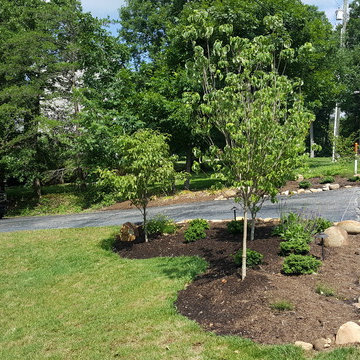 Birnamwood Court, Ashland