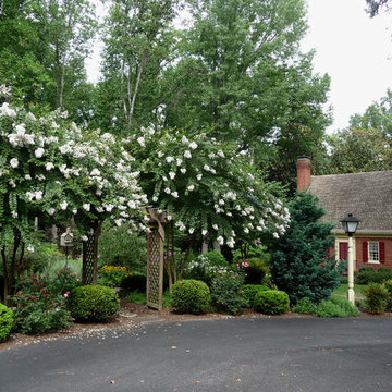Arrive through the Arbor