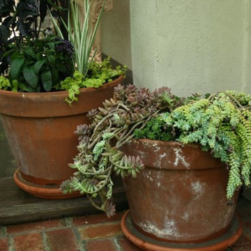 Container Gardening