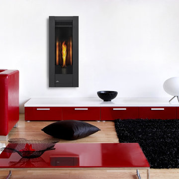 Napoleon Fireplace Design Gallery