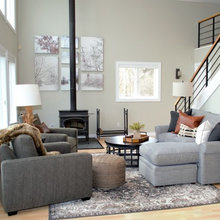 fireplace insert