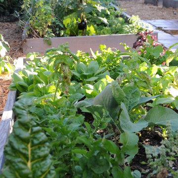 Raised Bed Garden