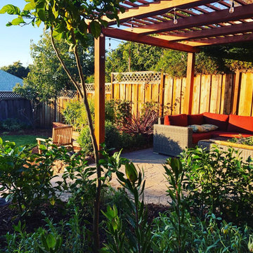 Backyard Remodel