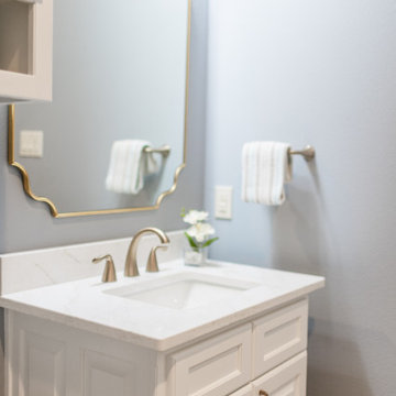 Sherwin Williams Blustery Sky in powder bath