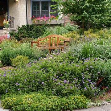 Shade to Sun - A Journey of a Perennial Garden