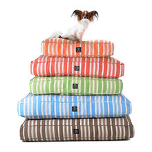 Dog Space