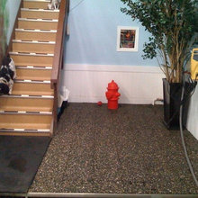 Dog products