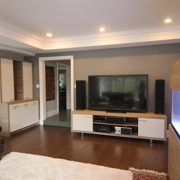 Media Room with Aquarium