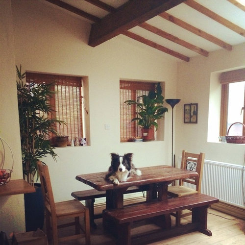 Kitchen Garage Conversion