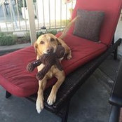 Robert Delaportilla's photo