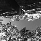 Michael Lynch's photo