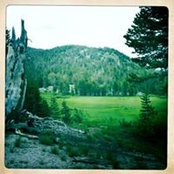 Adam Donkin's photo