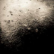 Mal Roberts's photo