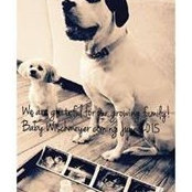 Stephanie Grillo Wischmeyer's photo