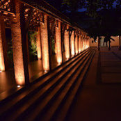 Anitta cherian's photo