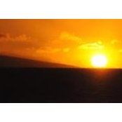 Gary DeCecco's photo