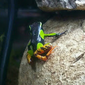Jordan Schaefer's photo