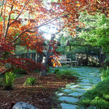 Landscape Ideas