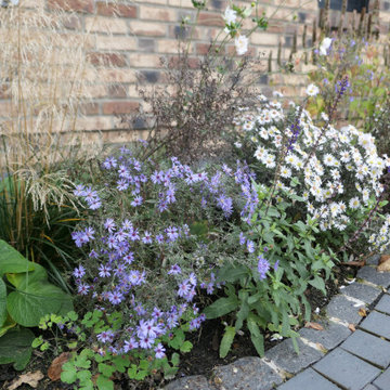 Ein Garten ohne Rasen