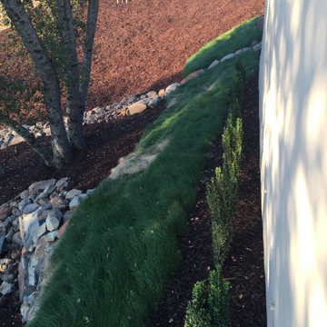 El Dorado Hills - Serrano Complete Landscape